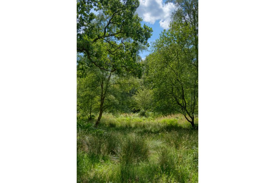 Объектив Fujifilm XF 56mm f/1.2 R (Japan, 2018)