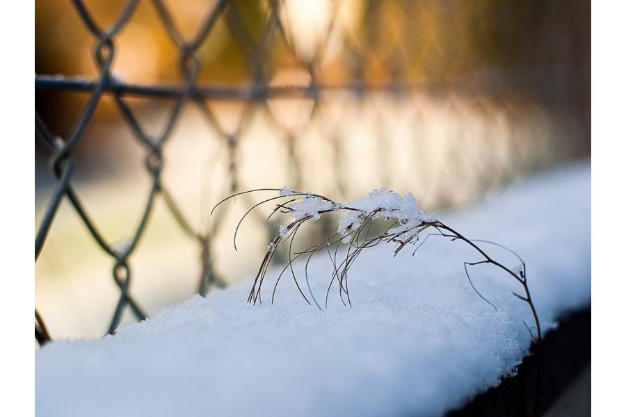 Revuenon Auto 1.4/55mm (Japan, 1977)