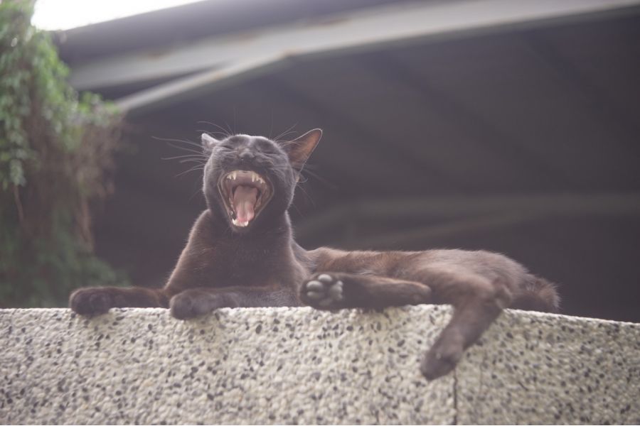 Индустар 7 3,5/10,5см (ГОМЗ, 1936)