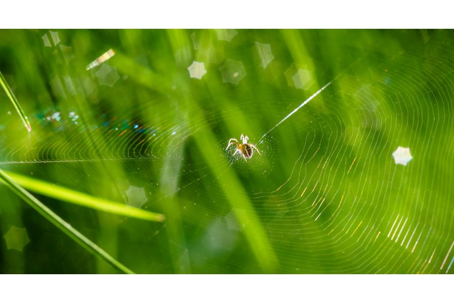 Индустар 7 3,5/10,5см (ГОМЗ, 1936)