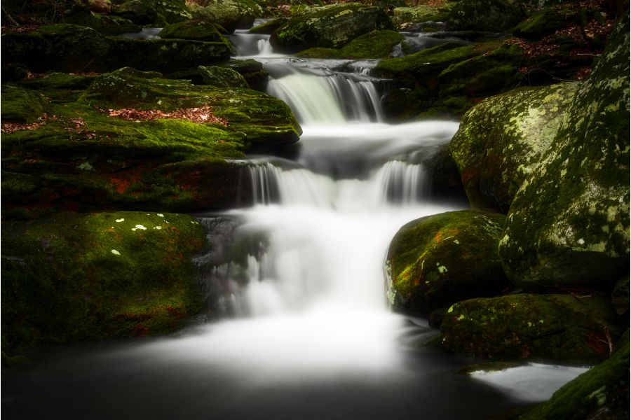 Soligor C/D 75-205mm f/3.8-4.8 MC Zoom+macro