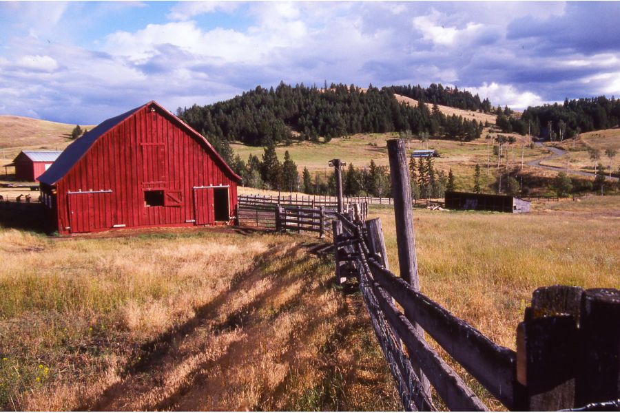 Tamron AF 28-200mm f/3.8-5.6 Aspherical IF LD for Canon EF б.