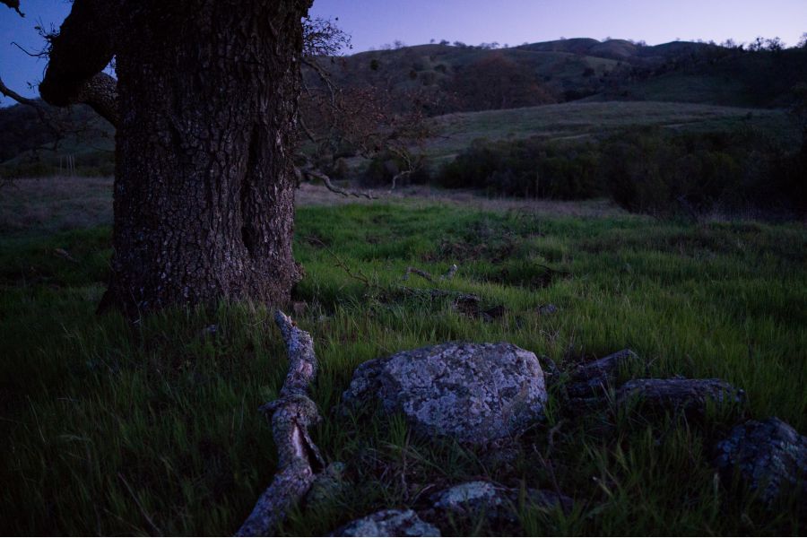 Sigma AF 28mm f/1.8 EX DG ASPHERICAL MACRO Minolta A