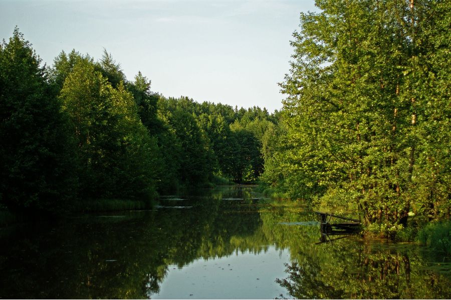 Sony 50mm f/1.4 (SAL-50F14)