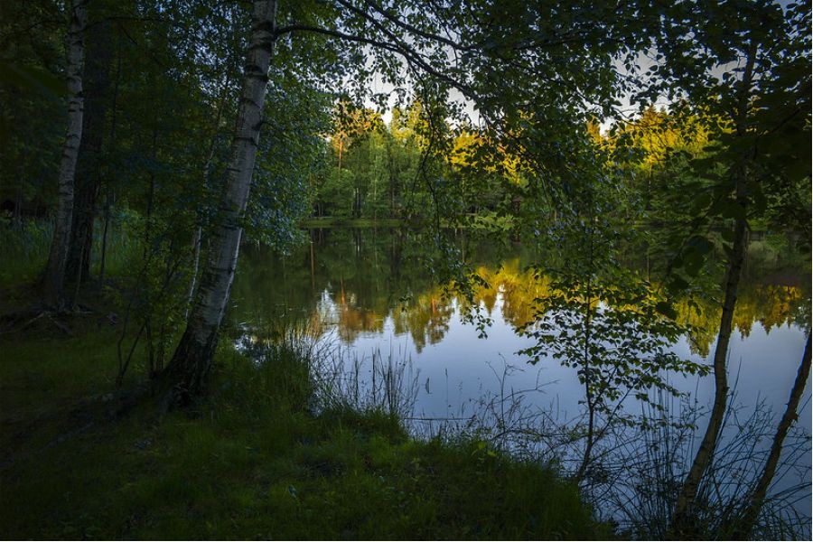 Leica Summilux-M 24mm f/1.4 Aspherical