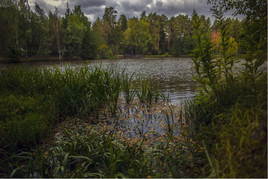 Leica Summilux-M 24mm f/1.4 Aspherical