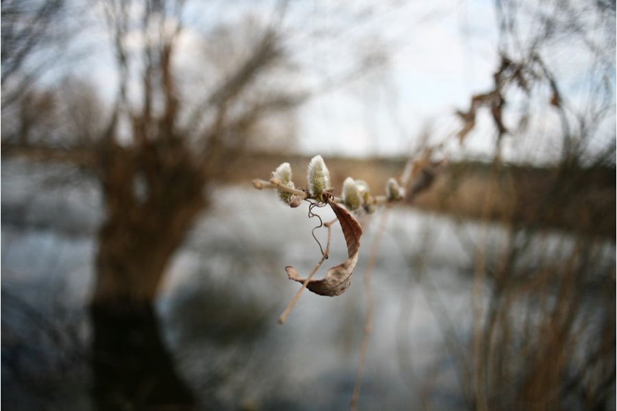 Olympus OM-System Zuiko Auto-W 28mm f/2.8