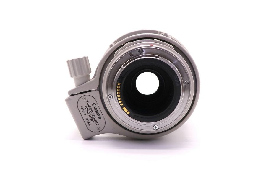 Canon EF 100-400mm f/4.5-5.6L IS USM