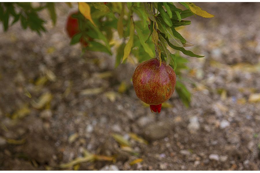 Heliar 4.5/13/5cm Voigtlander Braunschweig Compur