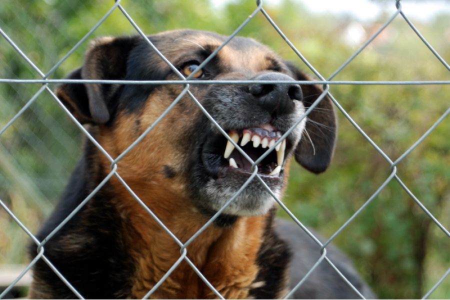 Nikkor 28-100mm 3.5-5.6G AF Nikon штатный объектив