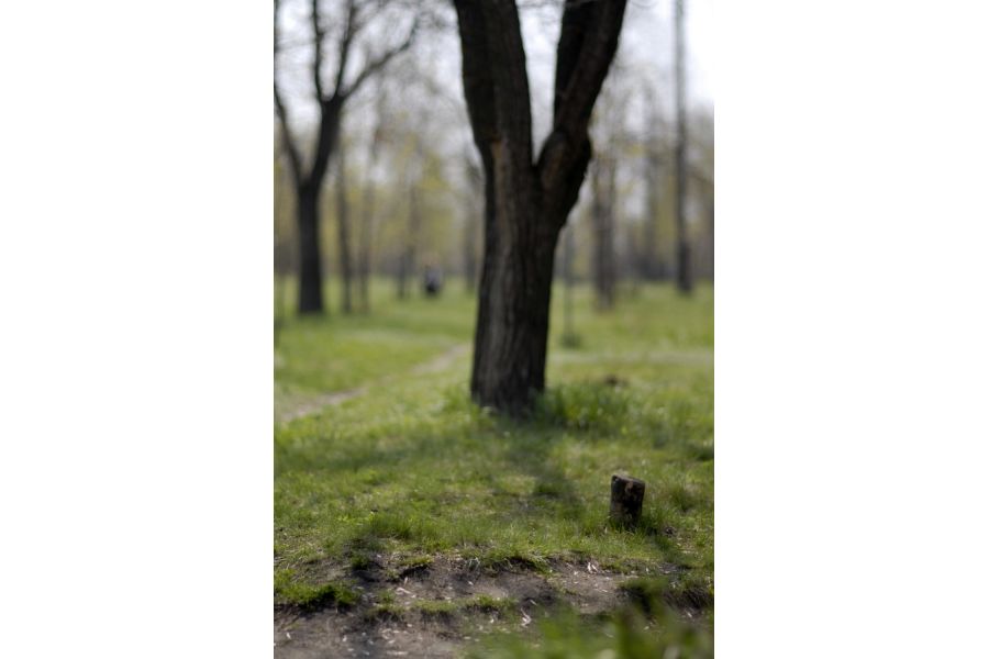 Nikon 105mm f/1.8 Nikkor (Japan, 1980)