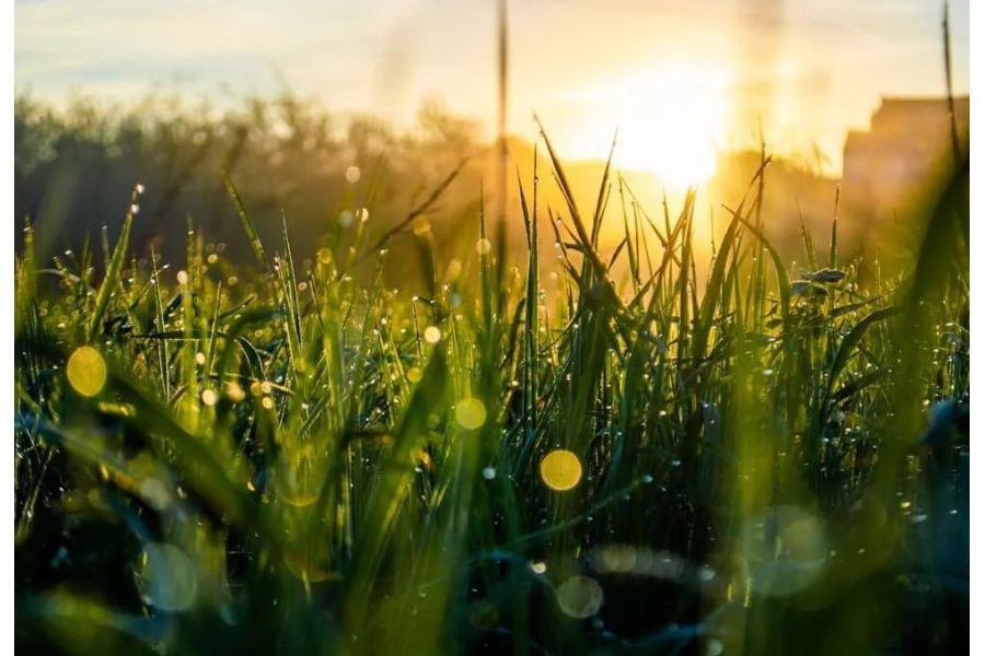 Редкость Мир-64К МС 20mm f/2.8 (СССР, 1989)
