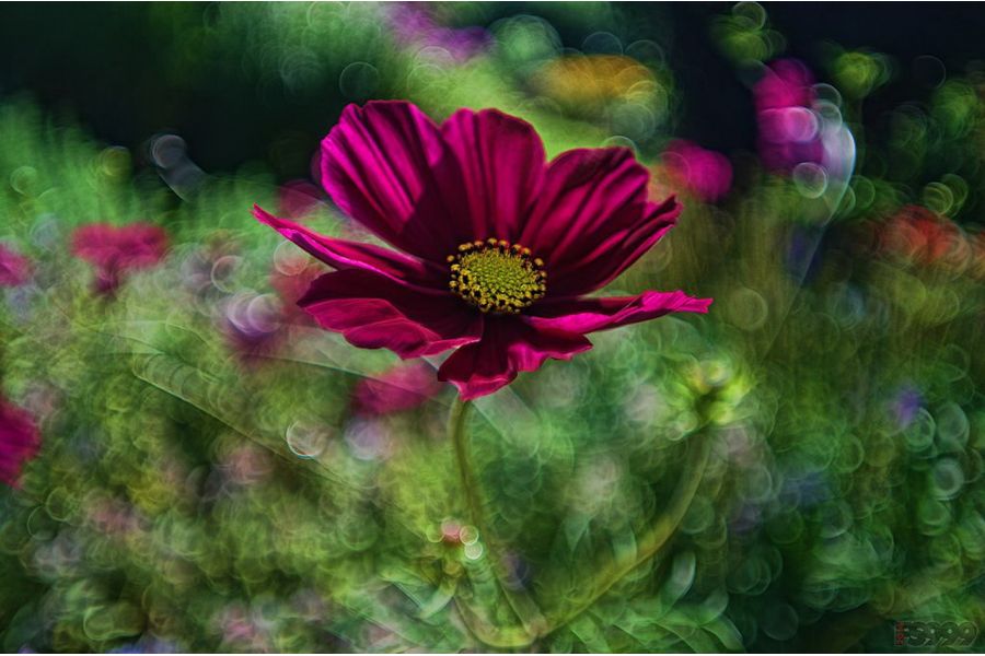 Новый Soligor Wide-Auto 1:2,8 f=28mm FD (Japan)