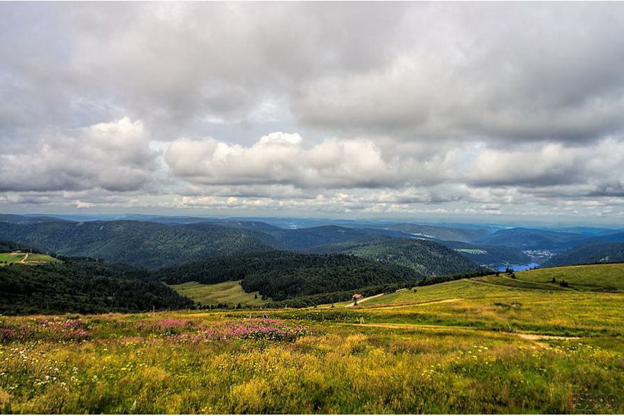 Новый Soligor Wide-Auto 1:2,8 f=28mm FD (Japan)