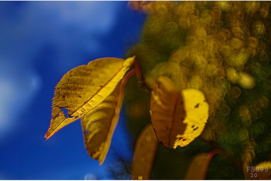 Новый Soligor Wide-Auto 1:2,8 f=28mm FD (Japan)