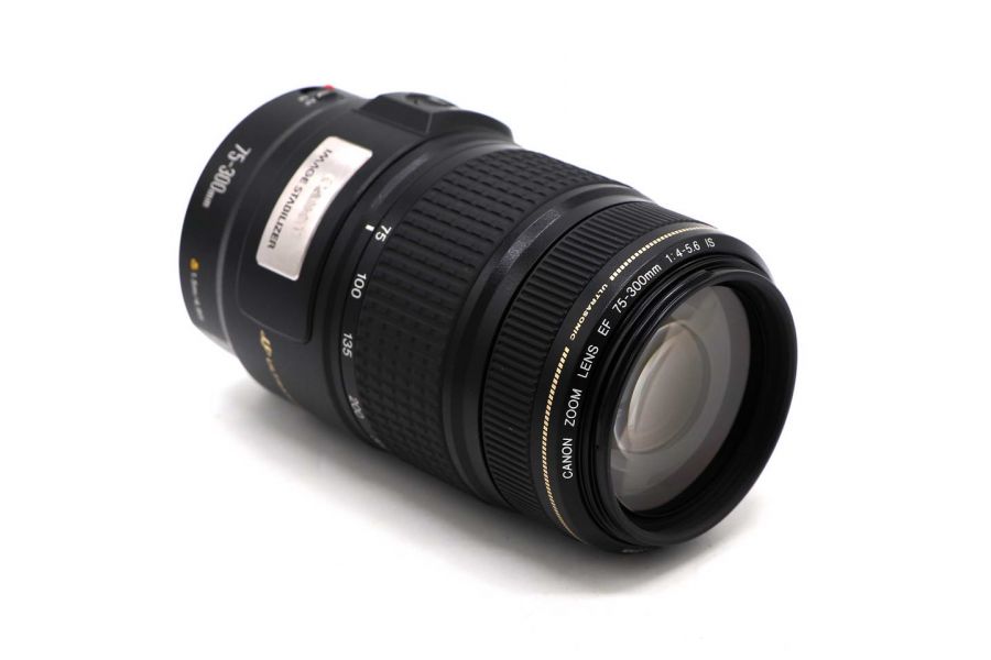 Canon EF 75-300mm f/4-5.6 IS USM