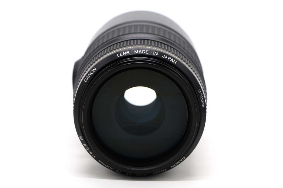 Canon EF 75-300mm f/4-5.6 IS USM