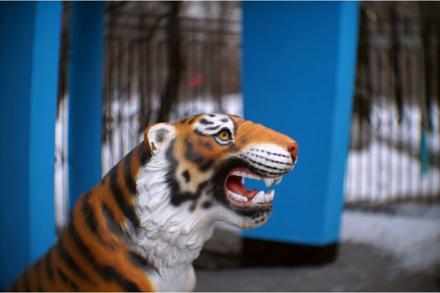 РО-109-1А 1.2/50 переделка Sony E