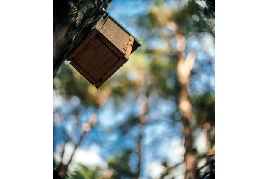 Ломо Ж-53 2/75мм (СССР, 1979г.)