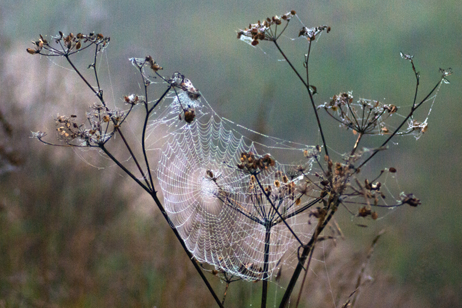 Pentax-FA SMC 80-200mm f/4.7-5.6 