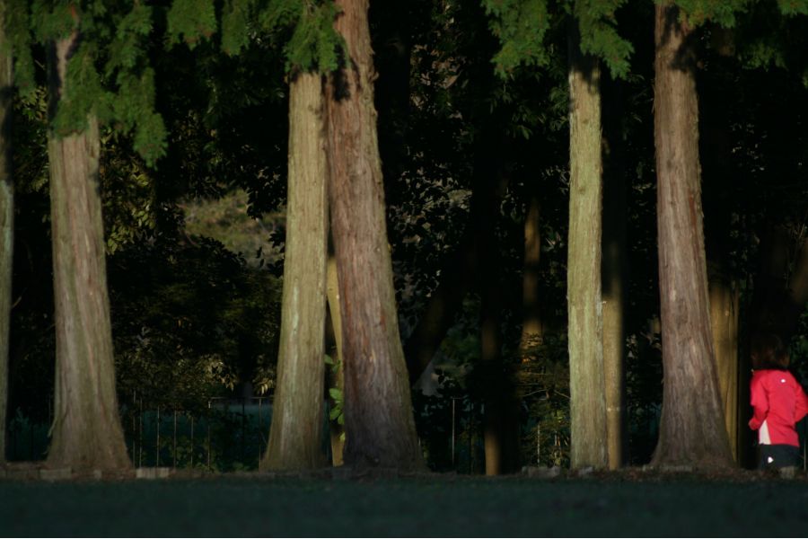 Tamron 75-250mm f/3.8-4.5 Nikon F