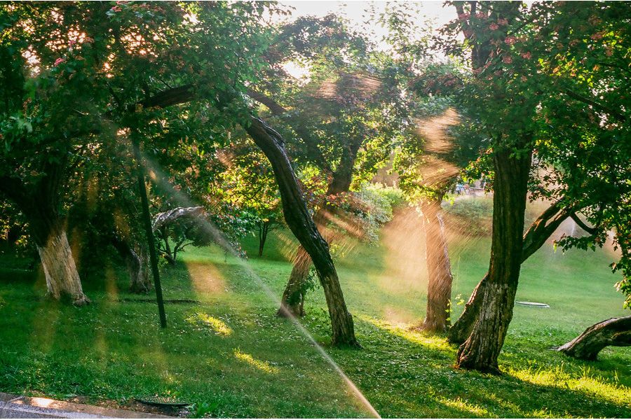 Distagon 2.8/35mm T* Carl Zeiss