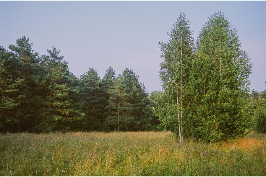 Distagon 2.8/35mm T* Carl Zeiss