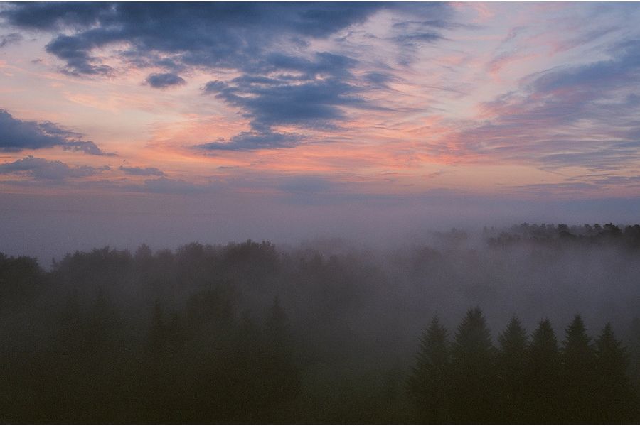 Distagon 2.8/35mm T* Carl Zeiss