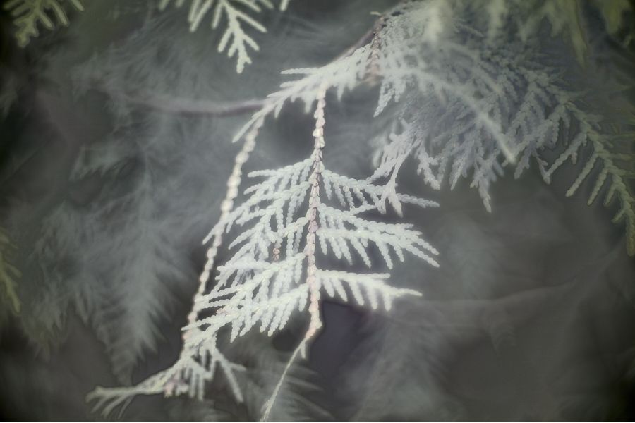 Zenit IR-2 85mm f/1.6