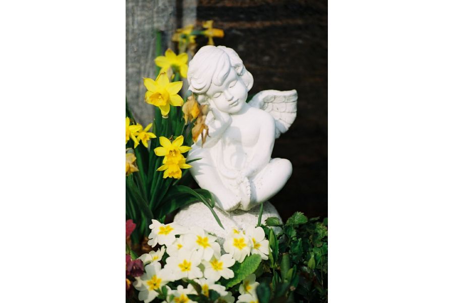 Soligor Auto-Zoom 75-205mm F3.5 Macro