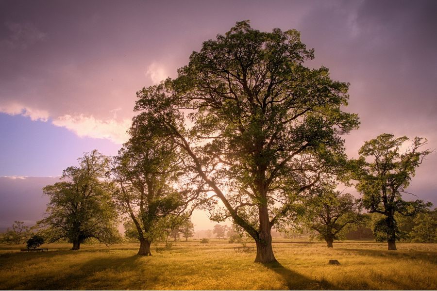 Pentax-FA SMC 28-105mm f/4-5.6 IF (Japan)