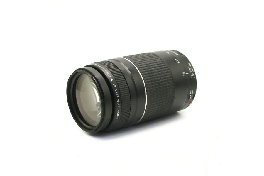 Canon EF 75-300mm f/4-5.6 III