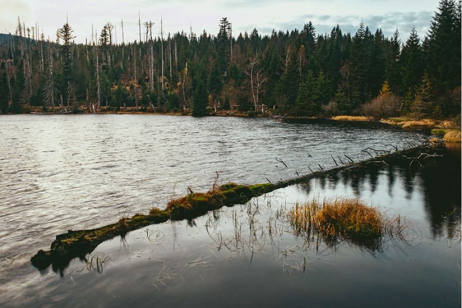 Fujifilm XF 16-55mm f/2.8 R LM WR X-Mount в упаковке