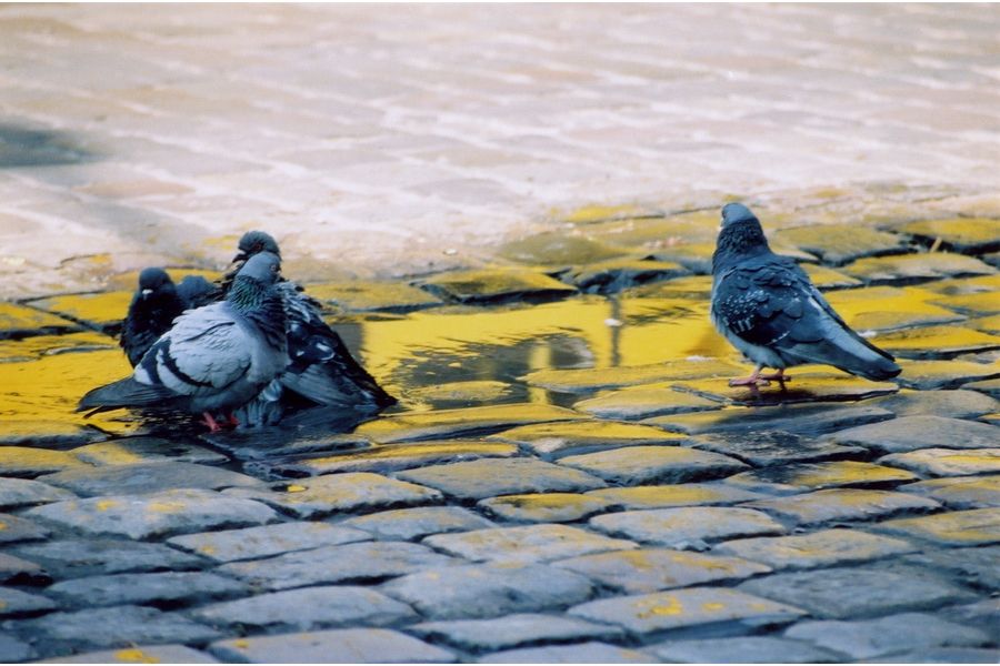 Exakta MC Macro 70-210mm 1:4.5-5.6 for Sony Nex