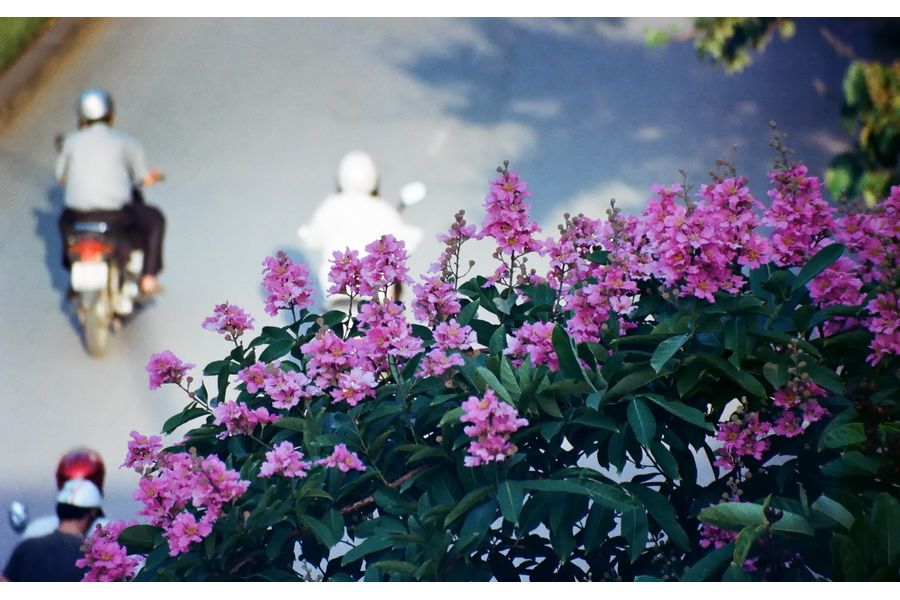 Exakta MC Macro 70-210mm 1:4.5-5.6 for Sony Nex