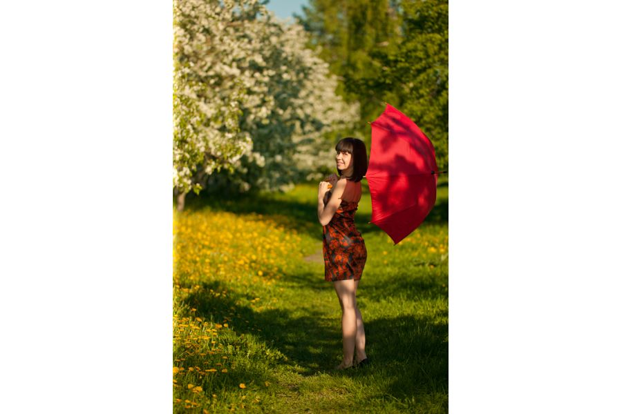 Sigma AF 120-300mm f/2.8 EX DG OS APO HSM Canon EF