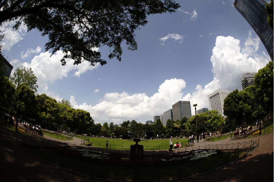 F-Distagon Carl Zeiss 2.8/16 HFT for Canon EF