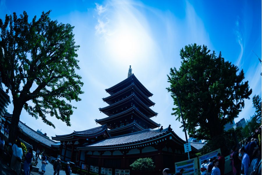 F-Distagon Carl Zeiss 2.8/16 HFT for Canon EF