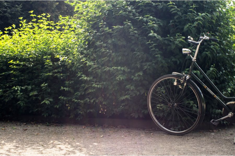 Tair 2.8/35 ( Japan 1984 г)