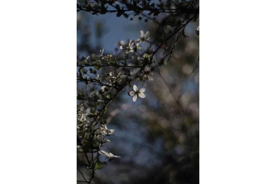 Tair 2.8/35 ( Japan 1984 г)