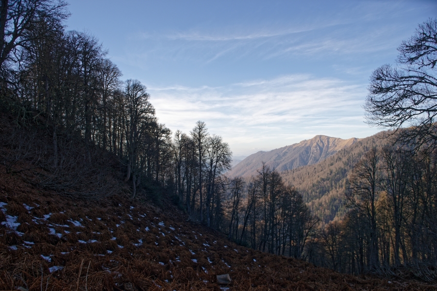 Sigma AF 24-60mm F2.8 EX DG for Nikon