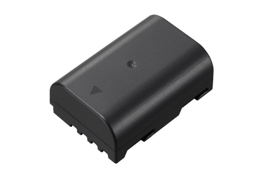 Аккумулятор Panasonic DMW-BLF19E