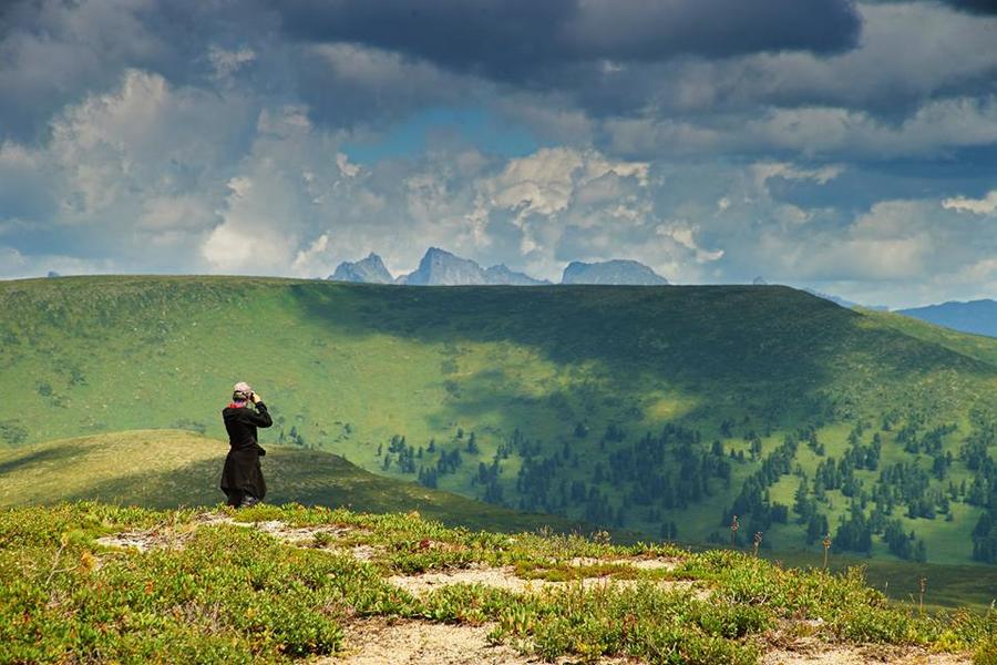 Sigma AF 24-135mm f/2.8-4.5 ASPHERICAL IF Canon EF