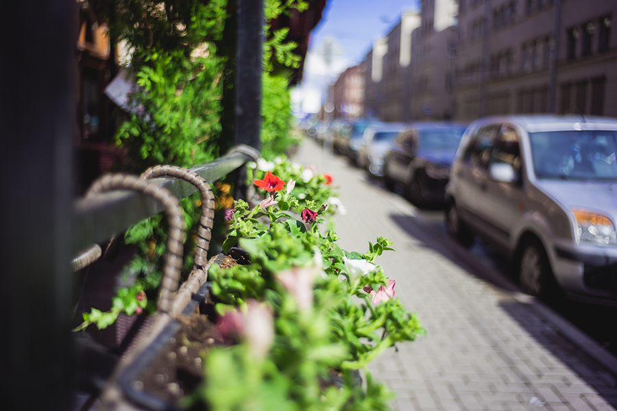 Canon FL 35mm f/2.5 (Japan, 1970)
