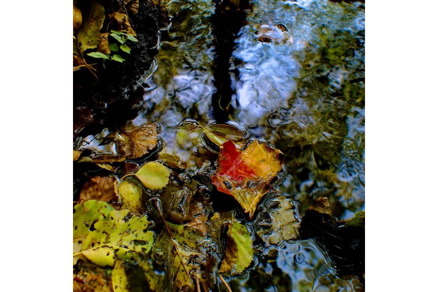 Мир-20М 3.5/20 М42 для Canon EOS