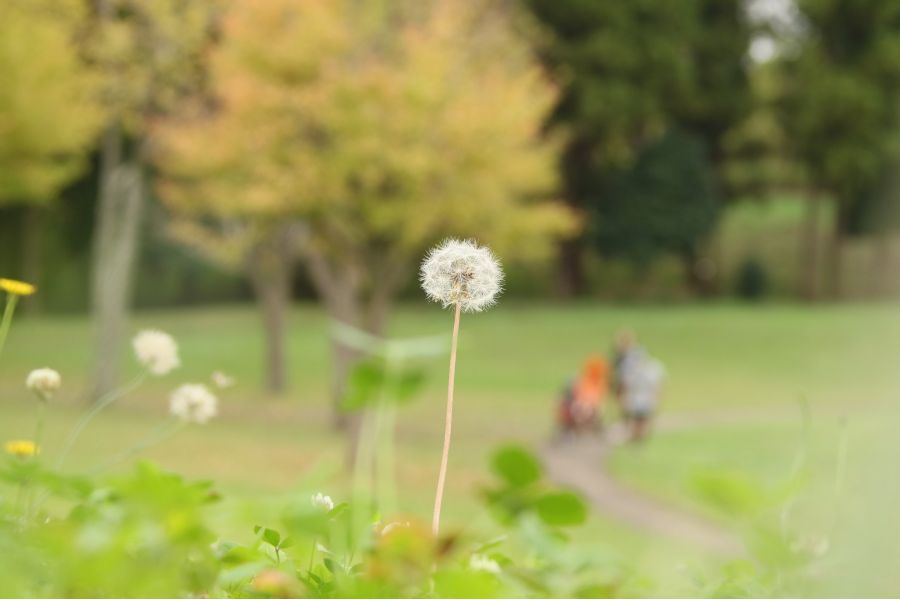 Pentax-M zoom SMC 3.5-4.5/28-50mm