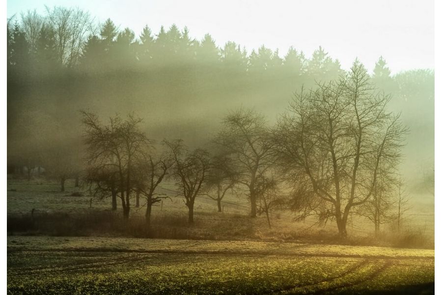 Tokina AT-X 28-85mm f/3.5-4.5 for Olimpus OM