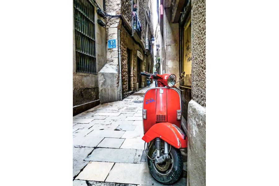 Nikon Reflex-Nikkor-С 500mm f/8