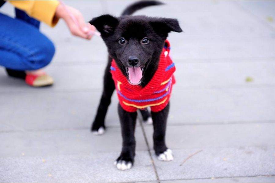 Вега-3 2,8/50 М42