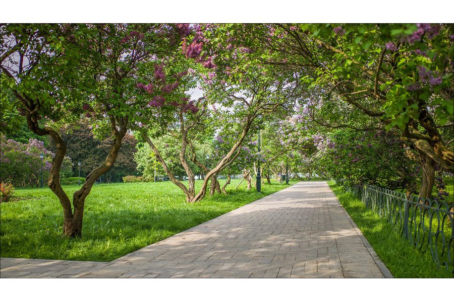 Summicron-M 28mm f/2 Aspherical Leica